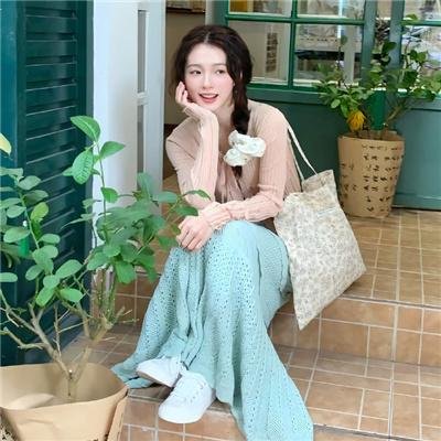 高速路上一只猫