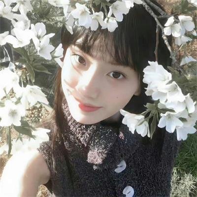 柿子坞的女人们